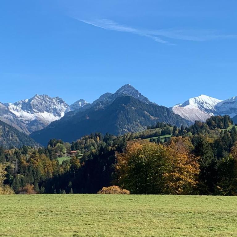 Allgäu Holzhaus I Bergpanorama & Natur pur im Herzen des Allgäus! - Haus mit 3 Schlafzimmern - 95