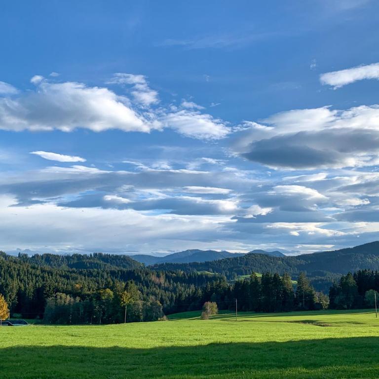 Allgäu Holzhaus I Bergpanorama & Natur pur im Herzen des Allgäus! - Haus mit 3 Schlafzimmern - 35