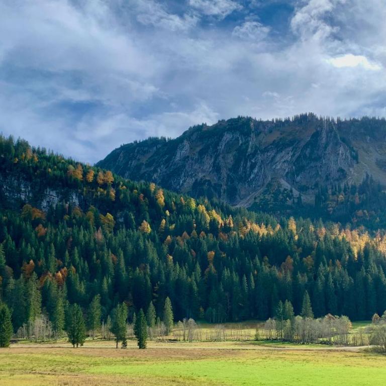 Allgäu Holzhaus I Bergpanorama & Natur pur im Herzen des Allgäus! - Haus mit 3 Schlafzimmern - 28