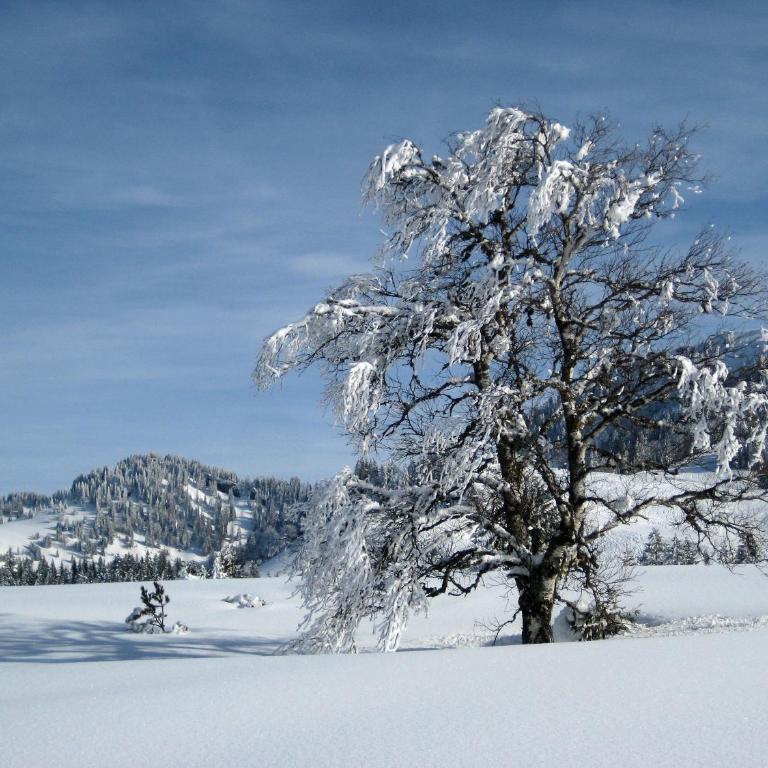 Allgäu Holzhaus I Bergpanorama & Natur pur im Herzen des Allgäus! - Haus mit 3 Schlafzimmern - 90