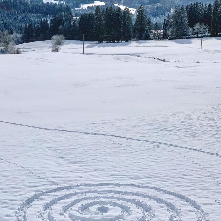 Allgäu Holzhaus I Bergpanorama & Natur pur im Herzen des Allgäus! - Haus mit 3 Schlafzimmern - 86