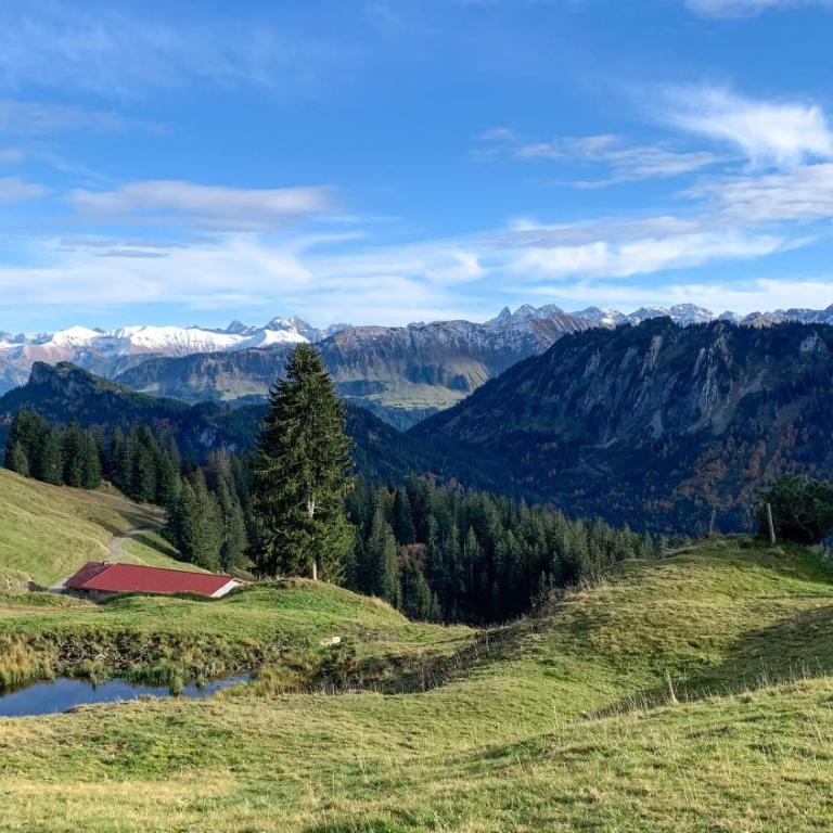 Allgäu Holzhaus I Bergpanorama & Natur pur im Herzen des Allgäus! - Haus mit 3 Schlafzimmern - 67