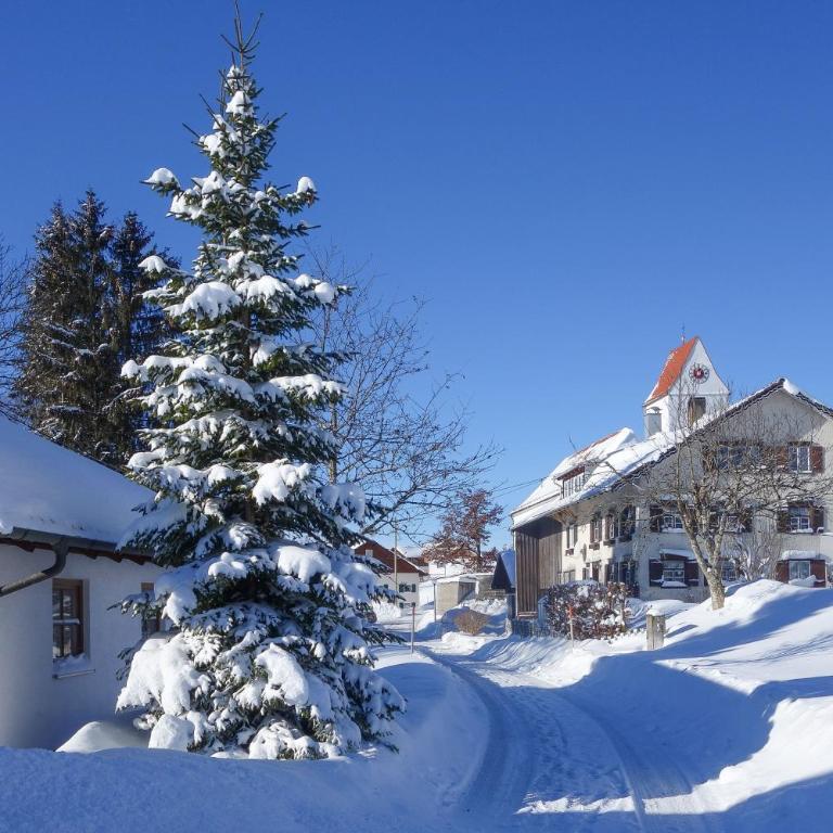 Allgäu Holzhaus I Bergpanorama & Natur pur im Herzen des Allgäus! - Haus mit 3 Schlafzimmern - 89