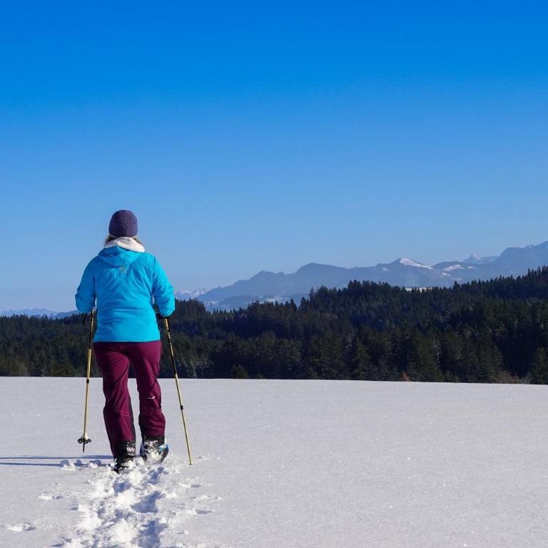 Allgäu Holzhaus I Bergpanorama & Natur pur im Herzen des Allgäus! - Haus mit 3 Schlafzimmern - 82