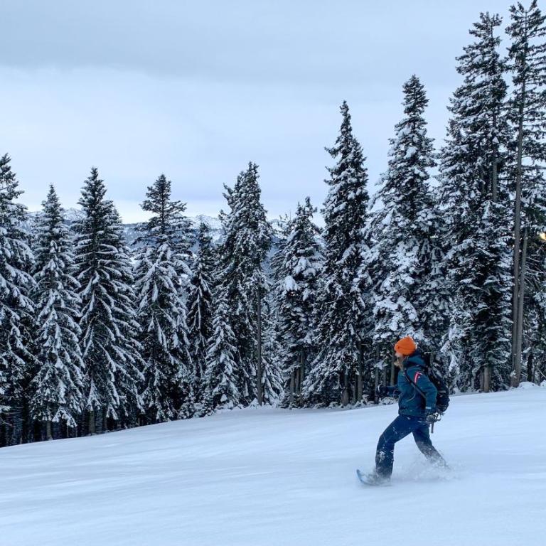 Allgäu Holzhaus I Bergpanorama & Natur pur im Herzen des Allgäus! - Haus mit 3 Schlafzimmern - 81