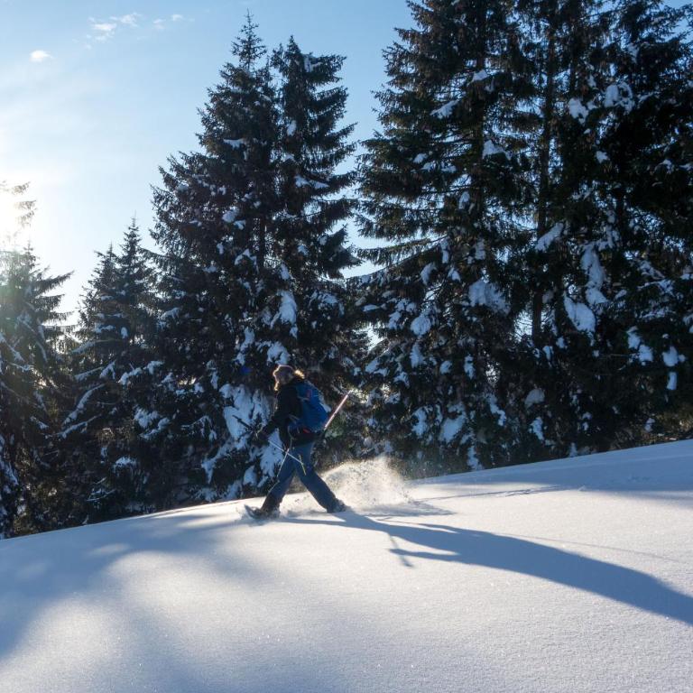 Allgäu Holzhaus I Bergpanorama & Natur pur im Herzen des Allgäus! - Haus mit 3 Schlafzimmern - 76