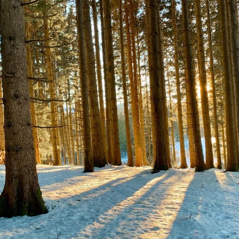 Allgäu Holzhaus I Bergpanorama & Natur pur im Herzen des Allgäus! - Haus mit 3 Schlafzimmern - 74