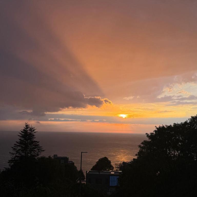 Vue mer exceptionnelle Terrasse Parking - La Marée Douce - Appartamento con 1 Camera da Letto - 19