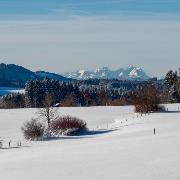 Allgäu Holzhaus I Bergpanorama & Natur pur im Herzen des Allgäus! - Haus mit 3 Schlafzimmern - 84