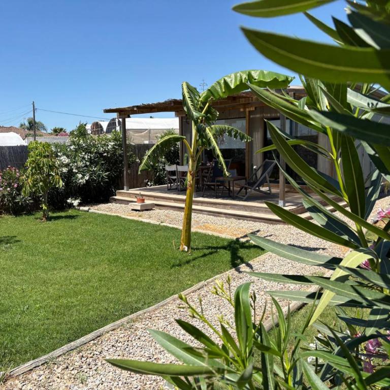 Isabelina Stays near Doñana & the Coast - Apartment mit 1 Schlafzimmer - 53