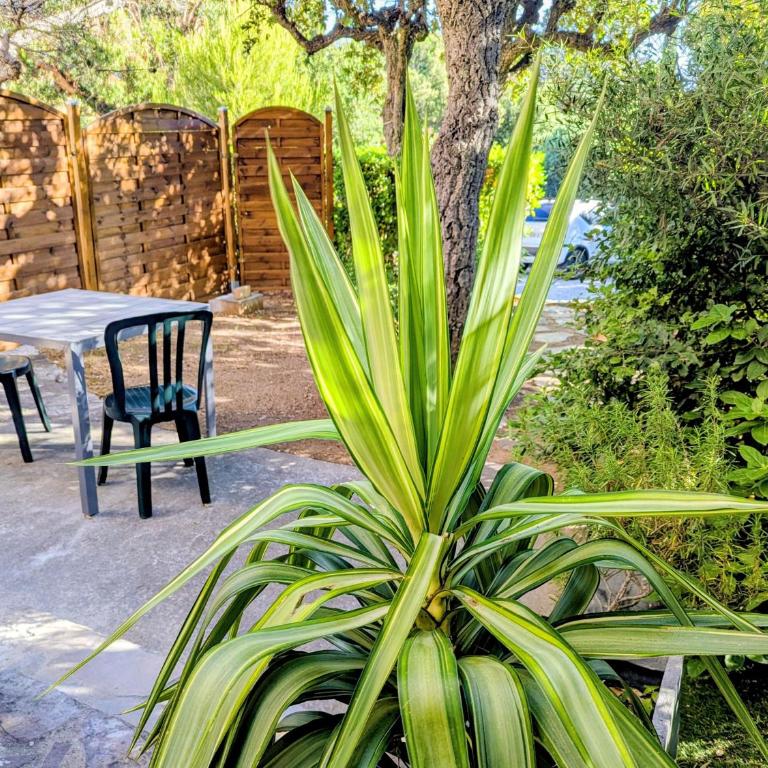 Calme et verdure près de la mer - Apartamento de 1 dormitorio - 1