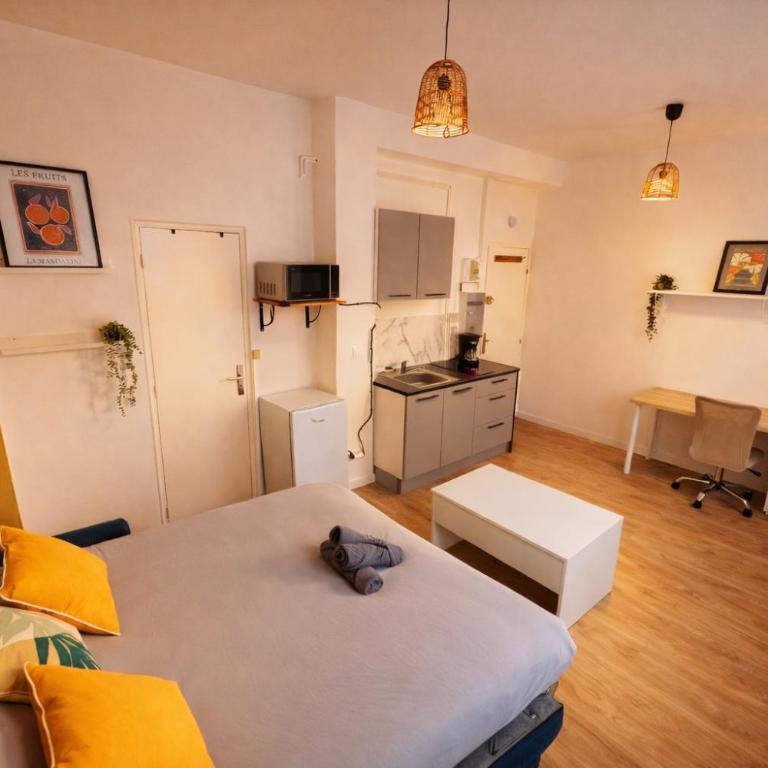 Instant Rayonnant à Rouen - 420 - Studio Apartment - 1