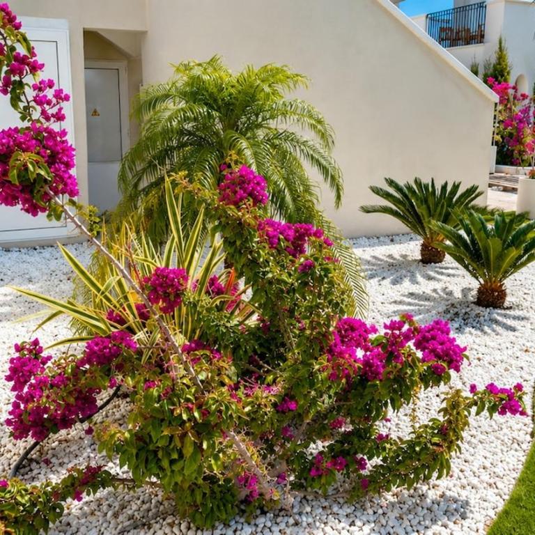 Great stay in Denia swimming pool - Apartamento de 2 dormitorios - 10