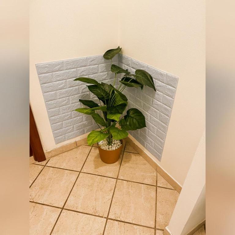Ben House - Two-Bedroom Apartment with Terrace - 13