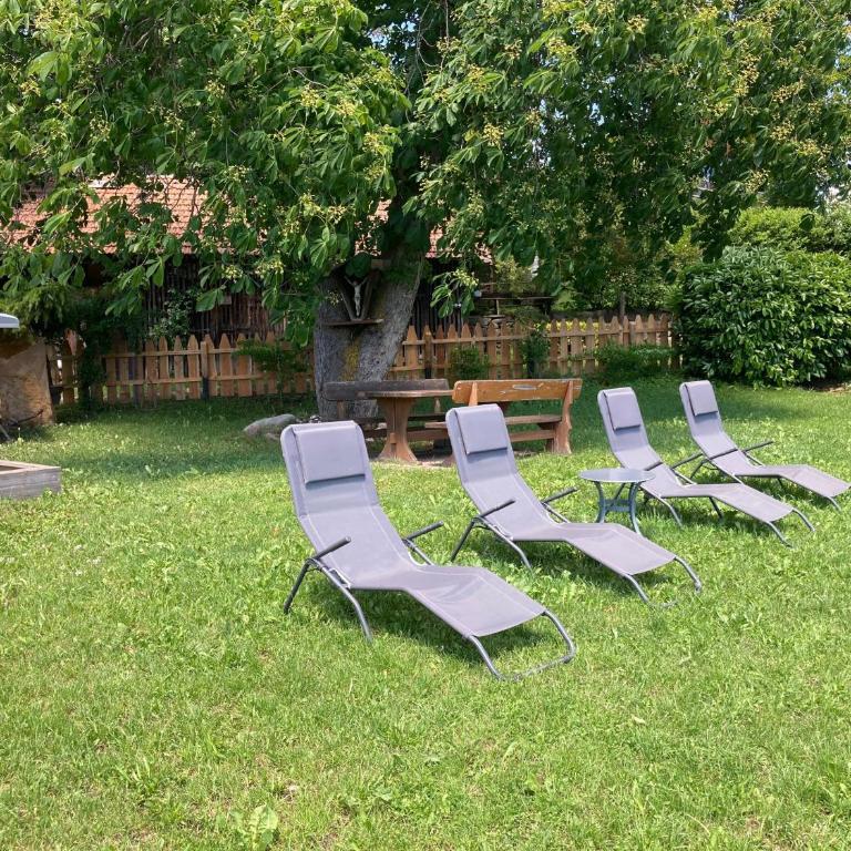 Sallrain Hof Apartment 1 - Appartamento Deluxe con 2 Camere da Letto e Vista Giardino - 31