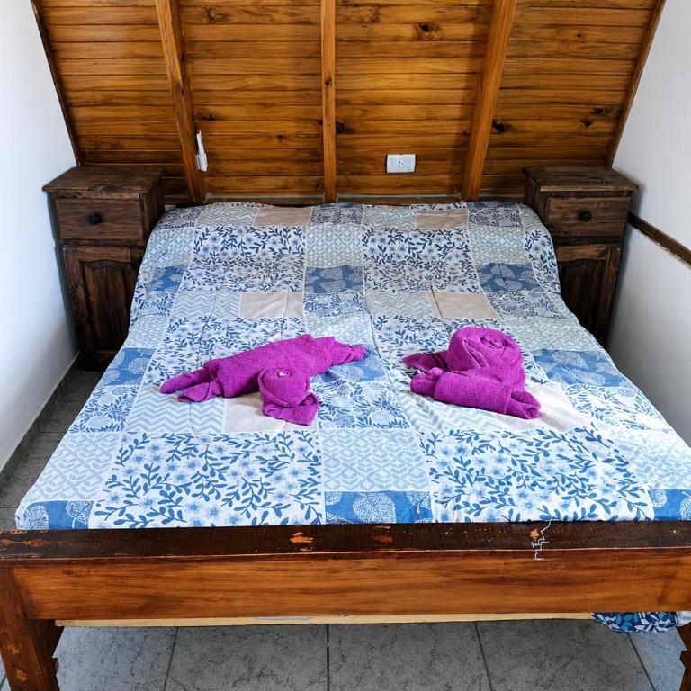 Amancay Cabaña alpina en Valle Fértil - Casa de 2 dormitorios - 9