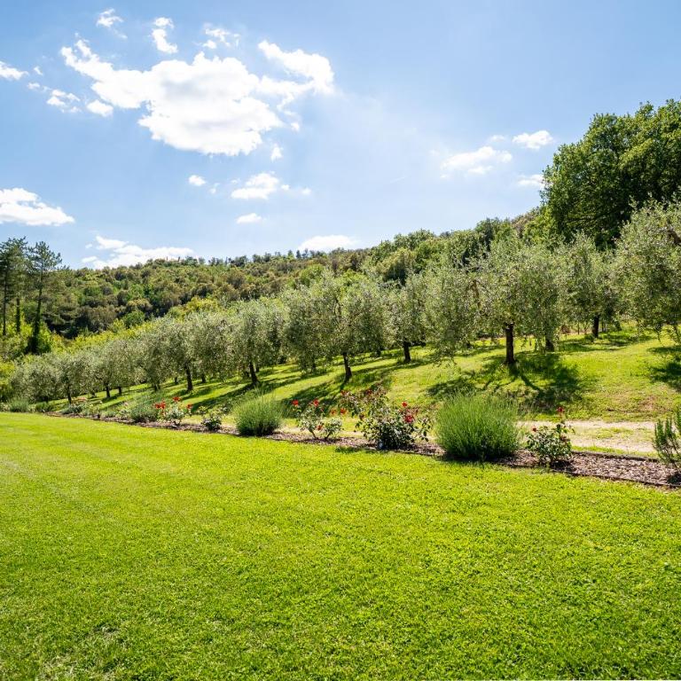 Podere Casanuova Ruber I View of San Gimignano - Casa con 1 Camera da Letto - 26
