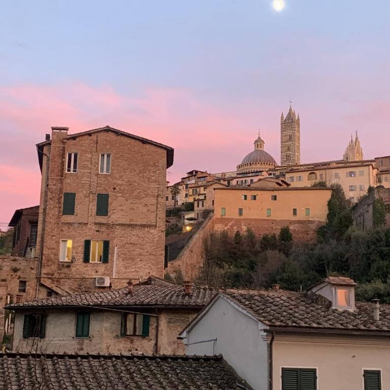 Spacious Suite - 5 min walk to Piazza del Campo - Camera Matrimoniale con Bagno Privato - 11