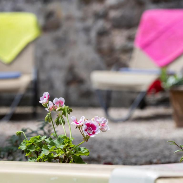 Villa Roocello, charming restored olive mill, with pool - Villa con Piscina Privata - 13