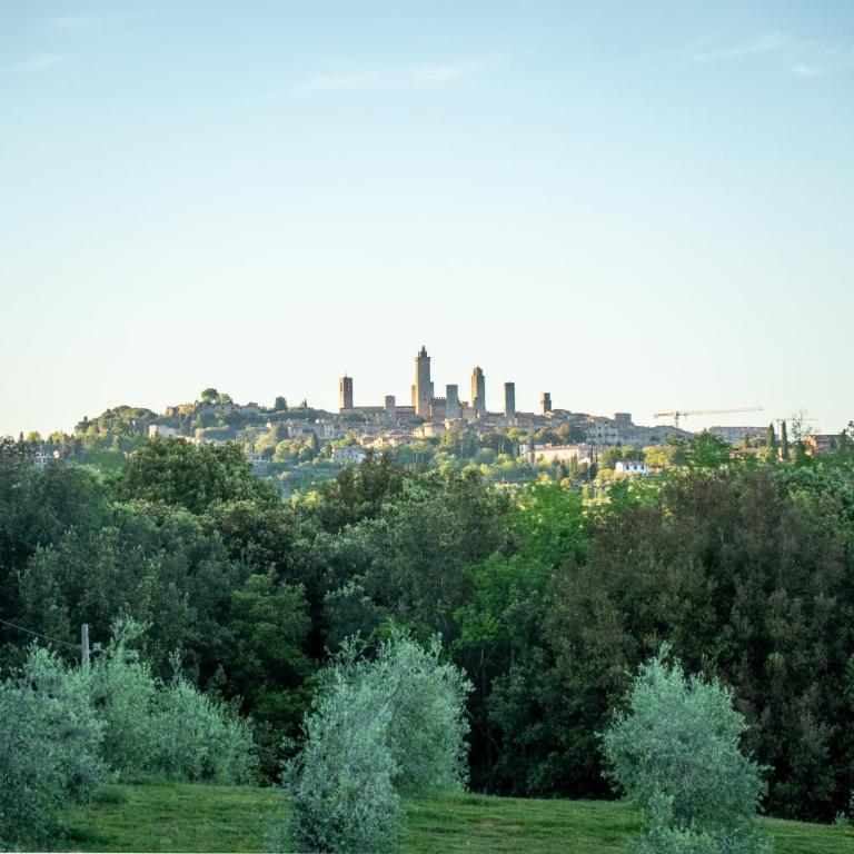 Podere Casanuova - Gilvus Relax in San Gimignano - Casa con 1 Camera da Letto - 2