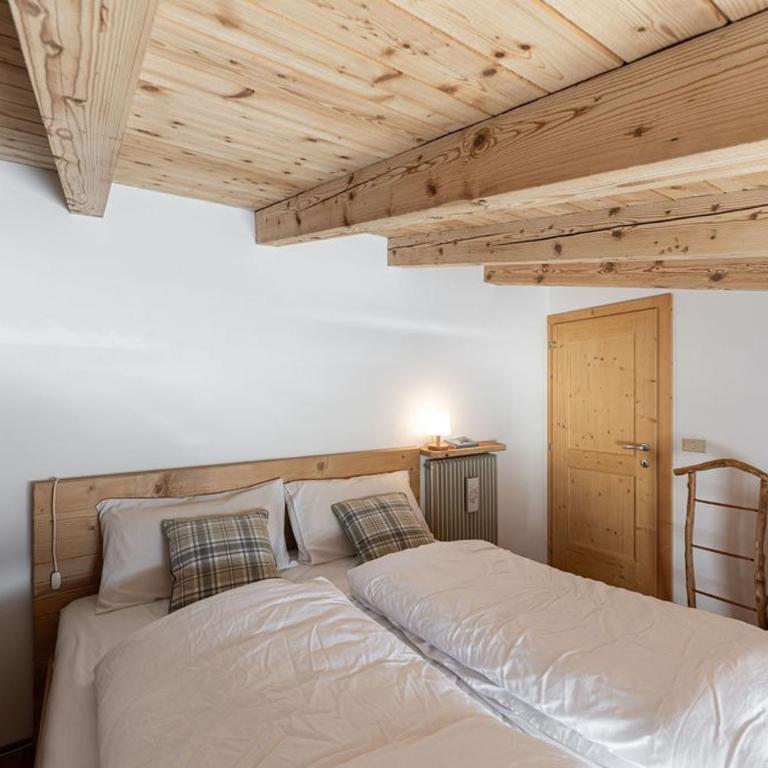 Mansarda di Charm Valli di Borzago - Apartamento de 1 dormitorio - 18