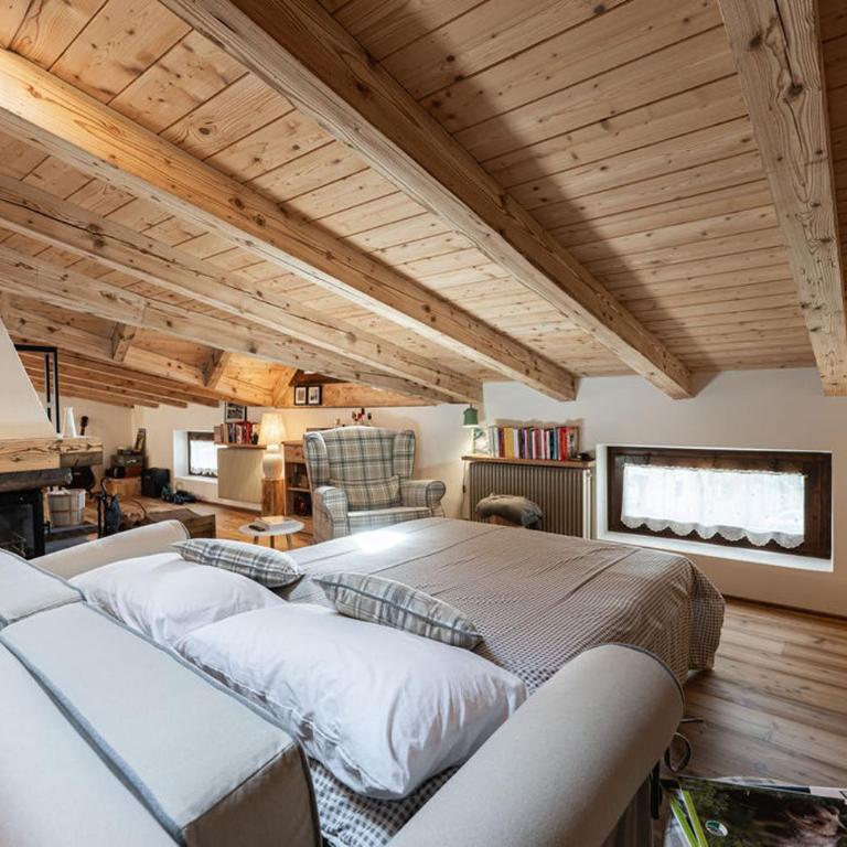 Mansarda di Charm Valli di Borzago - Apartamento de 1 dormitorio - 61