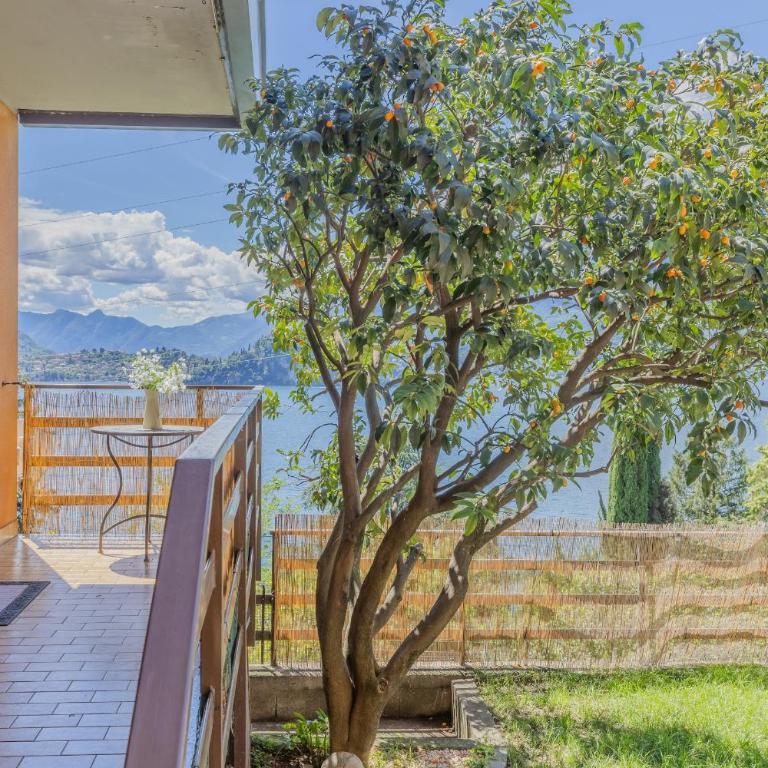Mandarina House - Appartamento con Vista Lago - 5