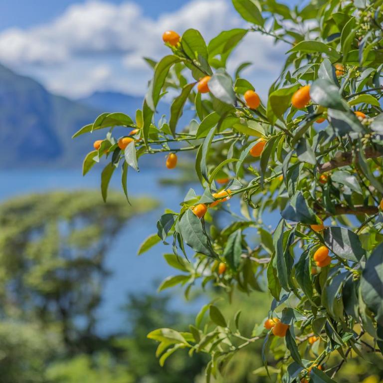 Mandarina House - Appartamento con Vista Lago - 7