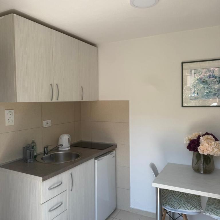 Apartmani Kovačević - Studio - 6