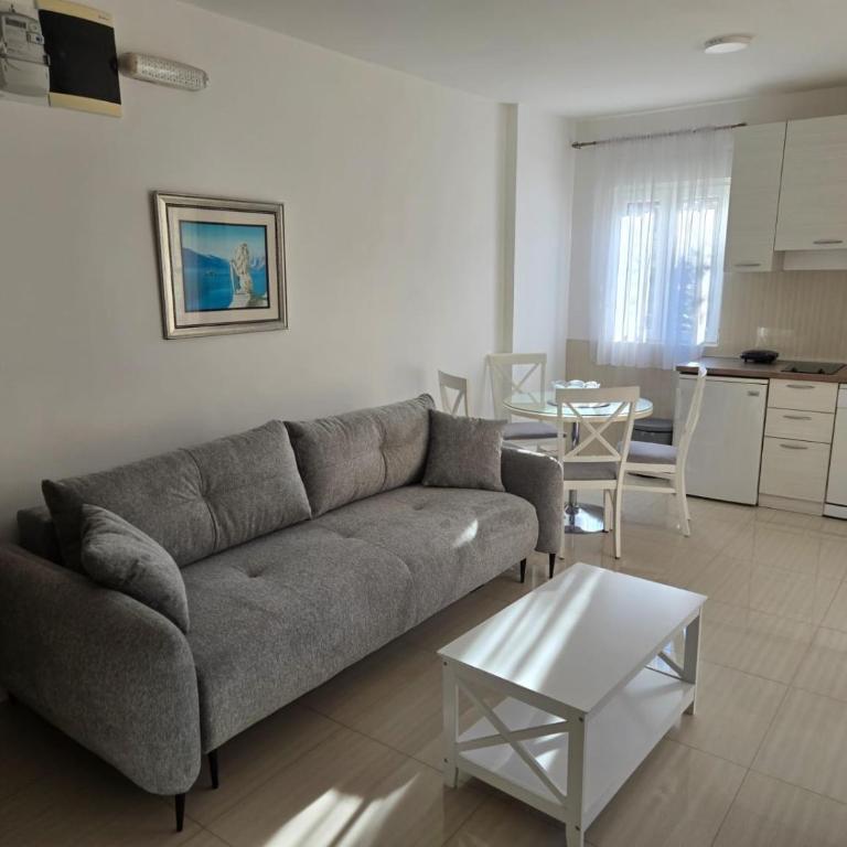 Apartmani Kovačević - Apartman s 1 Spavaćom Sobom i Terasom - 22