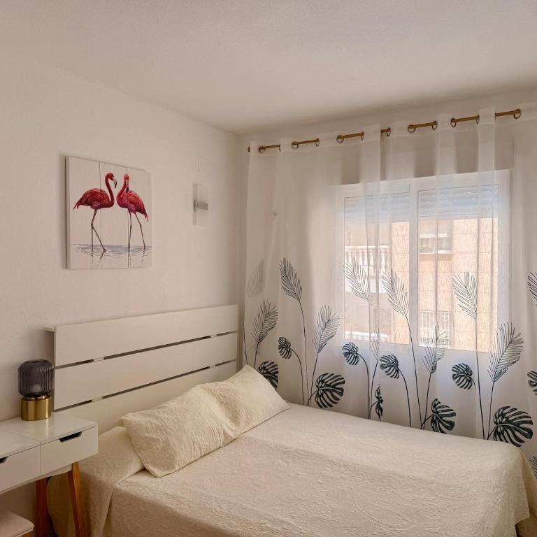 Mar&Sol Apartments with 2 BR and Pool - Appartamento con 3 Camere da Letto - 3