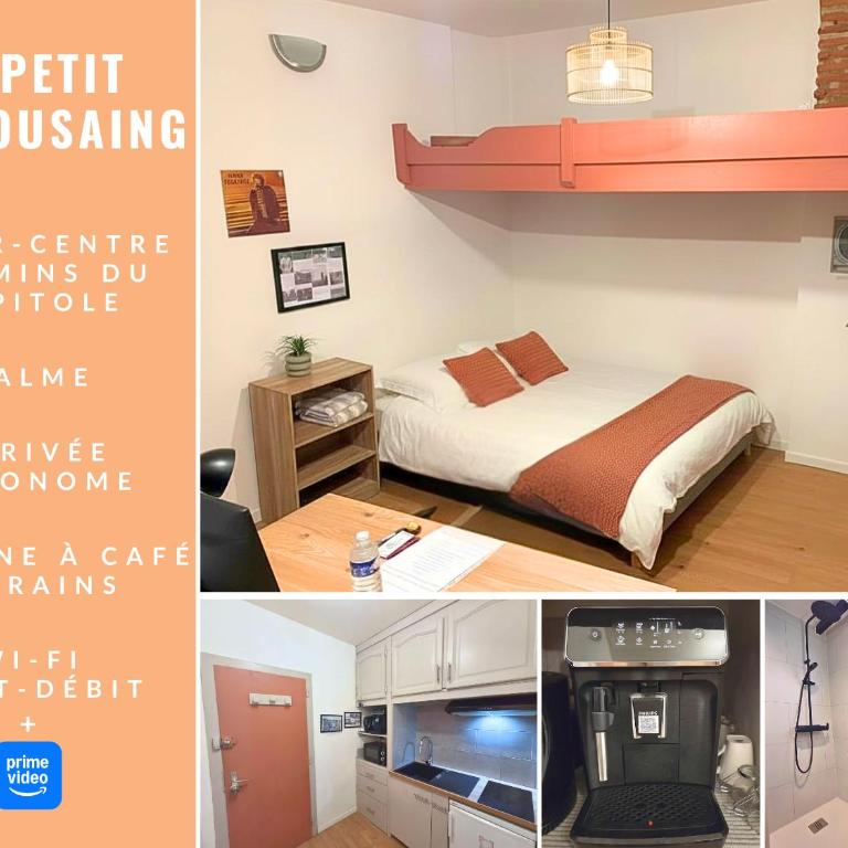 Le petit Toulousaing - Hypercentre Capitole - Appartement 1 Chambre - 1