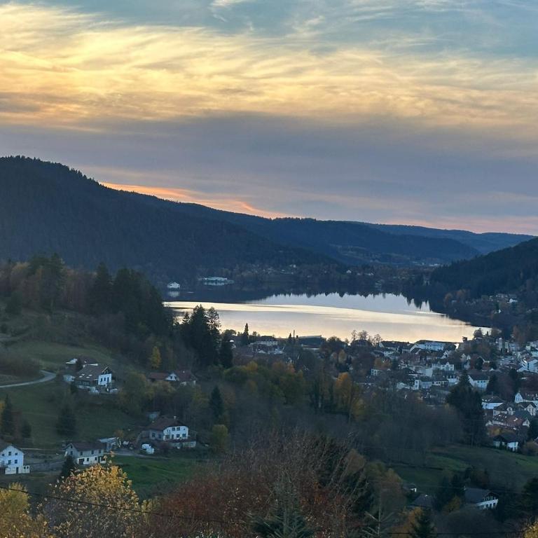 Chalet Panoramic Lodge, Spa avec vue lac et cinéma - Chalet - 4