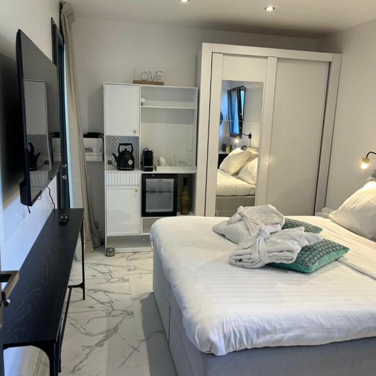 VILLA MESSILIA Guest Rooms French Riviera - Camera Matrimoniale - 4