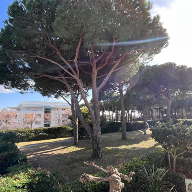 Studio cabine 4 pers avec parking à La Grande-Motte - FR-1-716-41 - Monolocale - 10