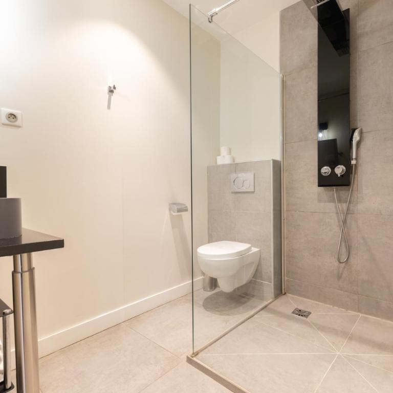 Maison Ingwë - Place Gambetta - The Spacious Apartment - 15
