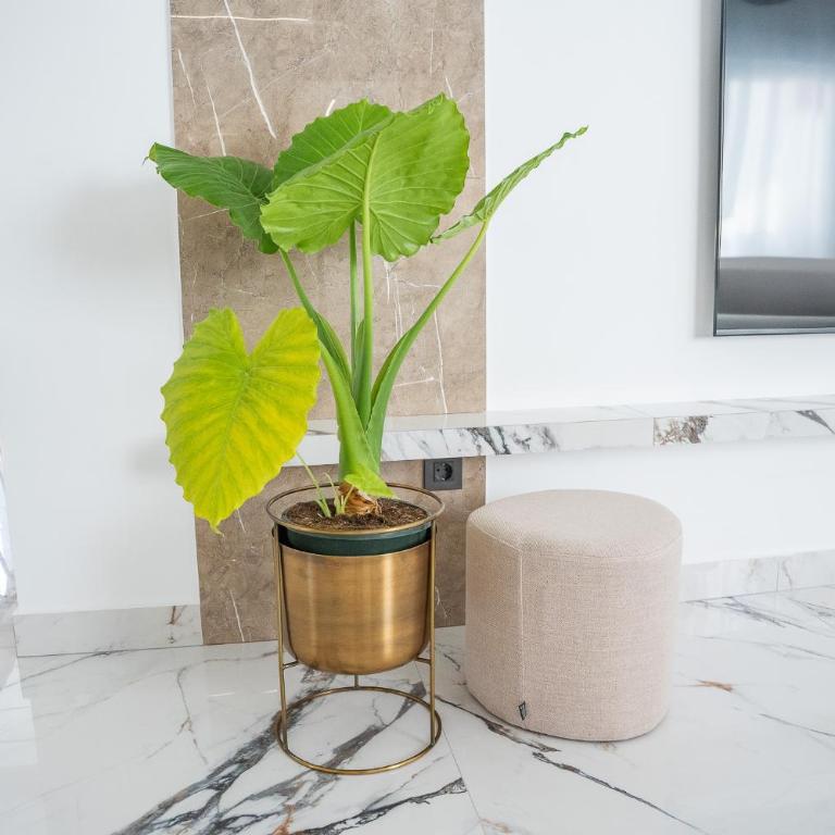 Unique private pool apartment in Carihuela - Appartamento - 50