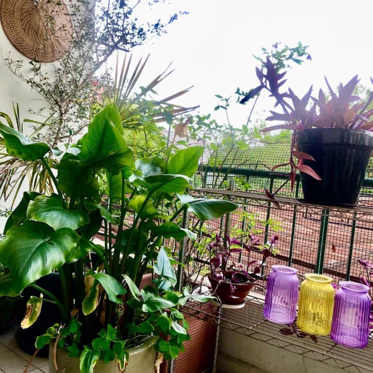 Hospital-Elegant Flat with Terrace - Appartamento con Terrazza - 12