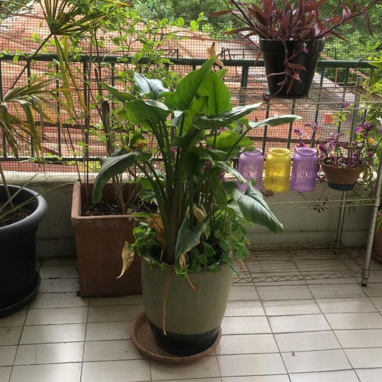 Hospital-Elegant Flat with Terrace - Appartamento con Terrazza - 13