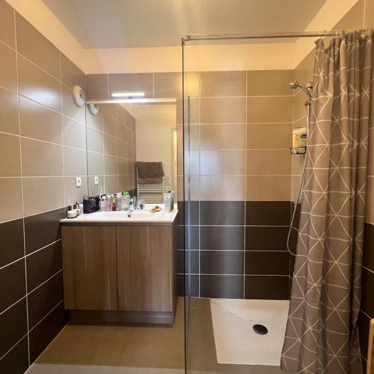 Les méridiennes de saint Jean - Appartement - 12