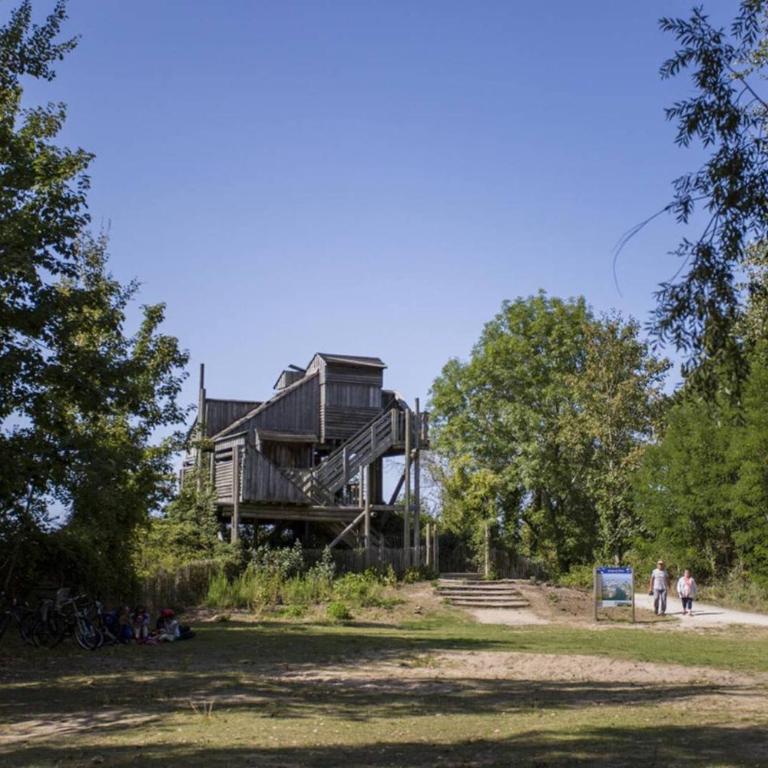 la caravelle, cabourg, 1 chambre avec balcon - Apartamento de 1 dormitorio con balcón - 14