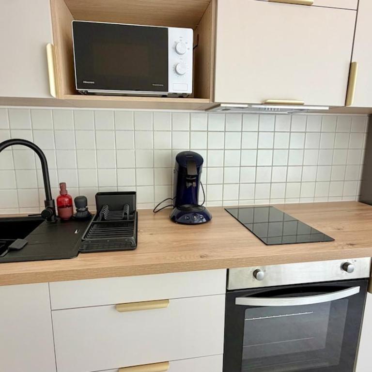 Appartement Annecy, centre-ville, terrasse et parking - Appartement 1 Chambre - 2