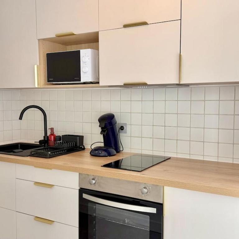 Appartement Annecy, centre-ville, terrasse et parking - Appartement 1 Chambre - 13