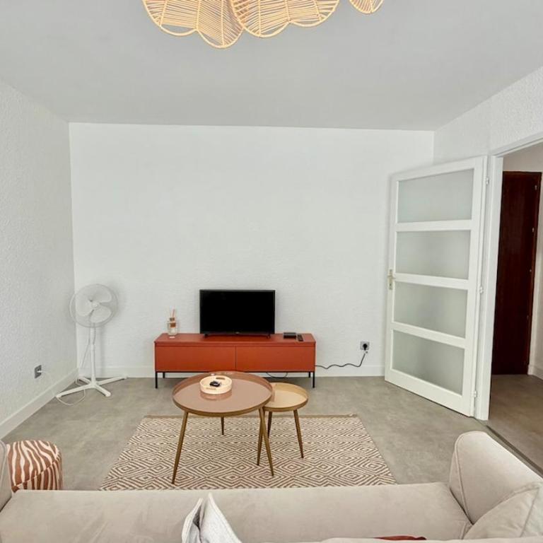 Appartement Annecy, centre-ville, terrasse et parking - Appartement 1 Chambre - 26