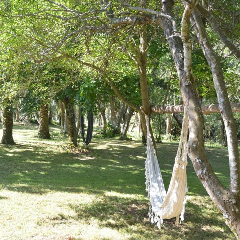 CASA RURAL EN SIERRAS de ROCHA - Villa - 50