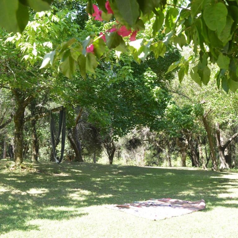 CASA RURAL EN SIERRAS de ROCHA - Villa - 51