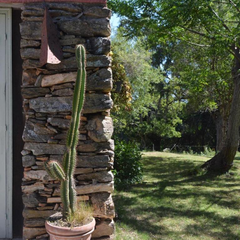 CASA RURAL EN SIERRAS de ROCHA - Villa - 52
