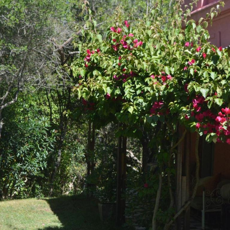 CASA RURAL EN SIERRAS de ROCHA - Villa - 69