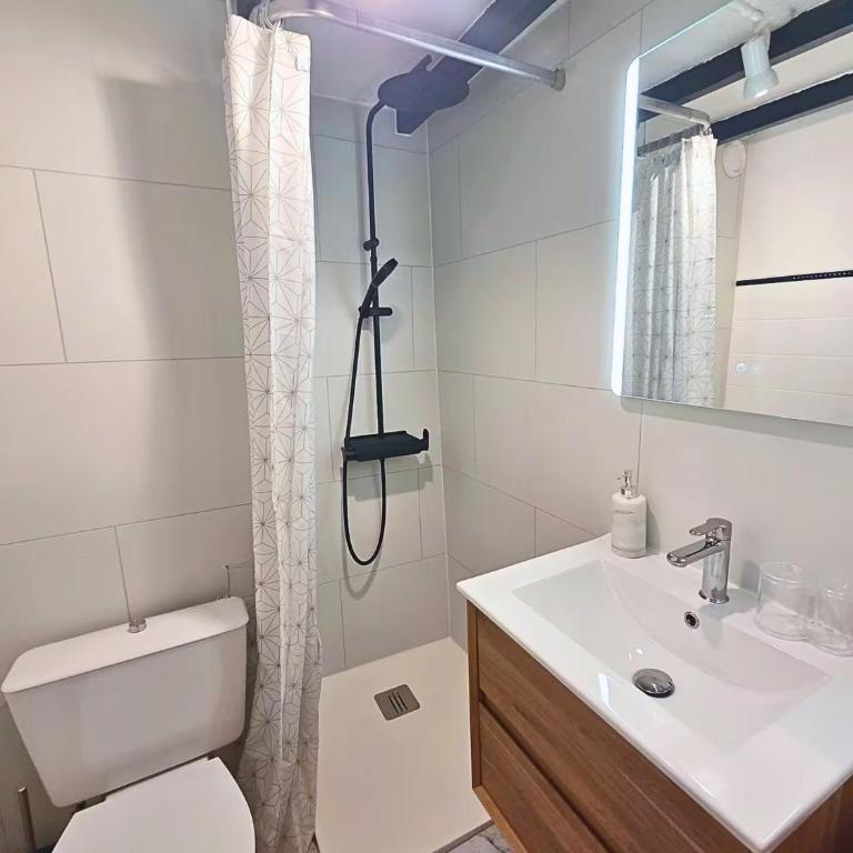 Le petit Toulousaing - Hypercentre Capitole - Appartement 1 Chambre - 17