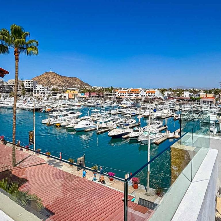Ocean & Marina Views, Balcony & Rooftop Pool - Apartamento - 28